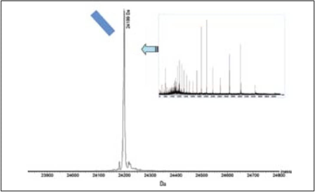 Combined and deconvoluted mass spectrum