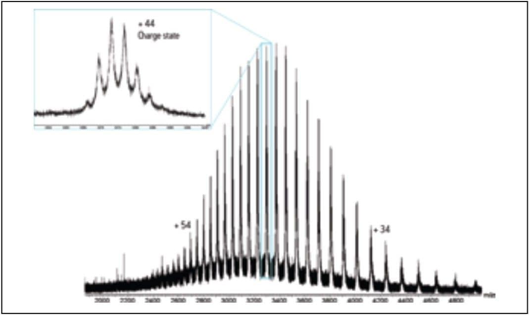 The summed ESI-MS mass spectrum