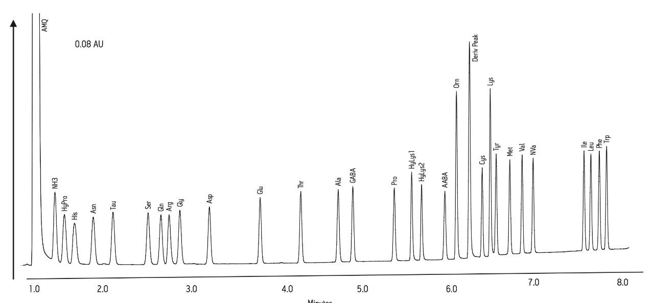 Chromatogram of 10 pmol/μL amino acid standard