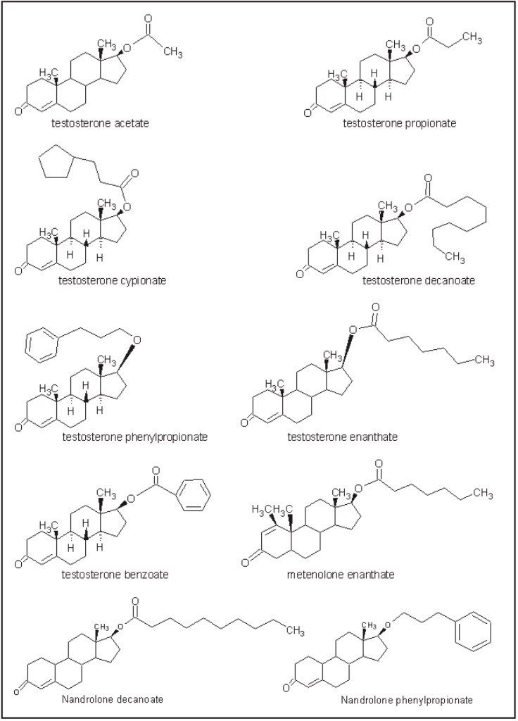 Structures of anabolic steroids esters