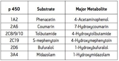  Probe substrates and major metabolite