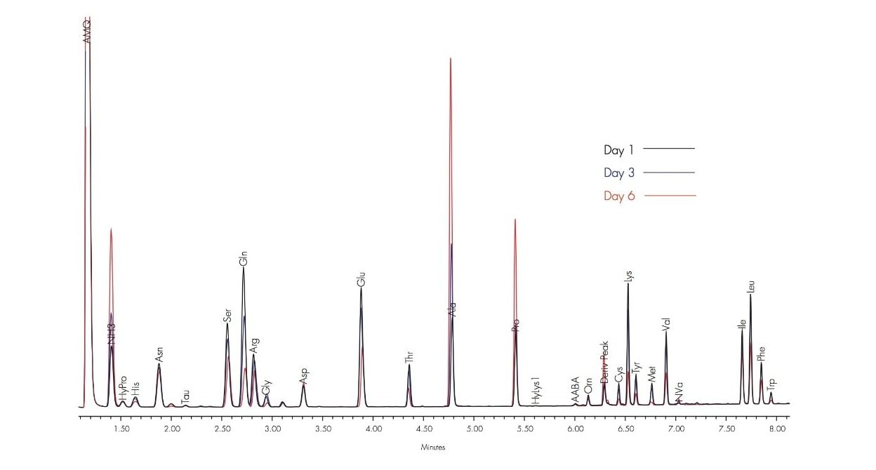 Analysis of amino acids in cell culture media after 1, 3, and 6 days of culture.