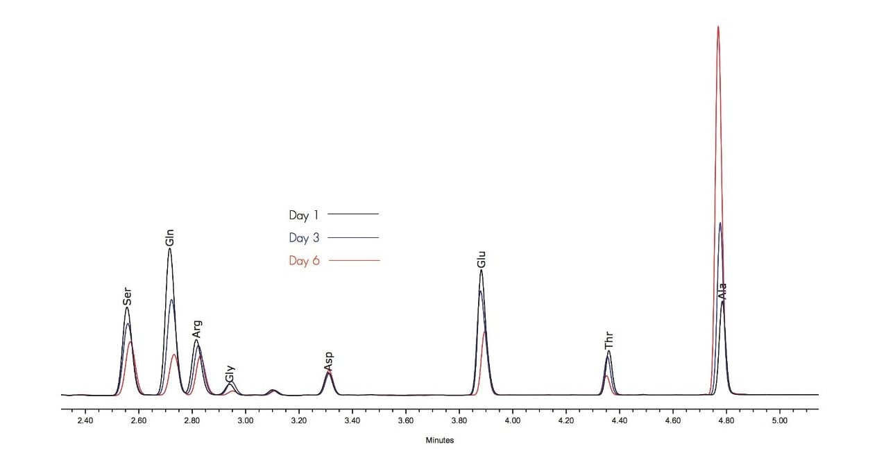 Analysis of critical amino acids in cell culture media after 1, 3, and 6 days of culture.