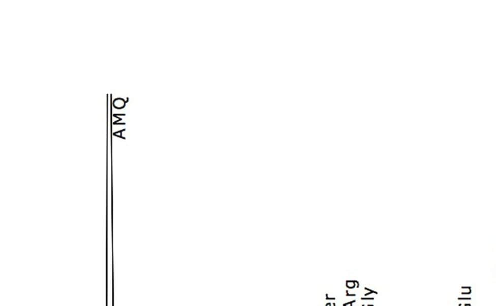 Separation of 50 pmoles of the amino acid hydrolysate standard