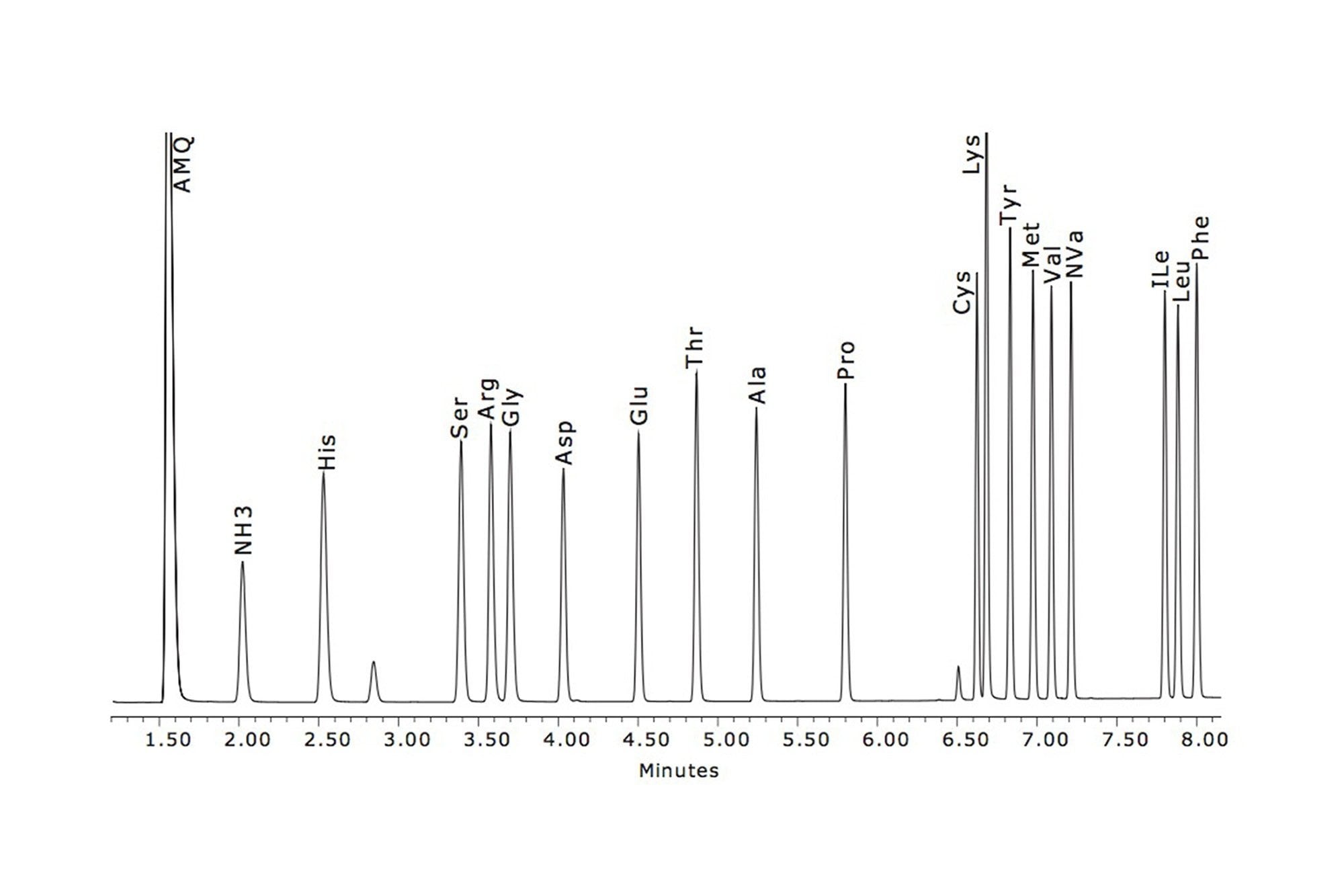 Analyse eines Hydrolysatstandards von 10 pmol/mL