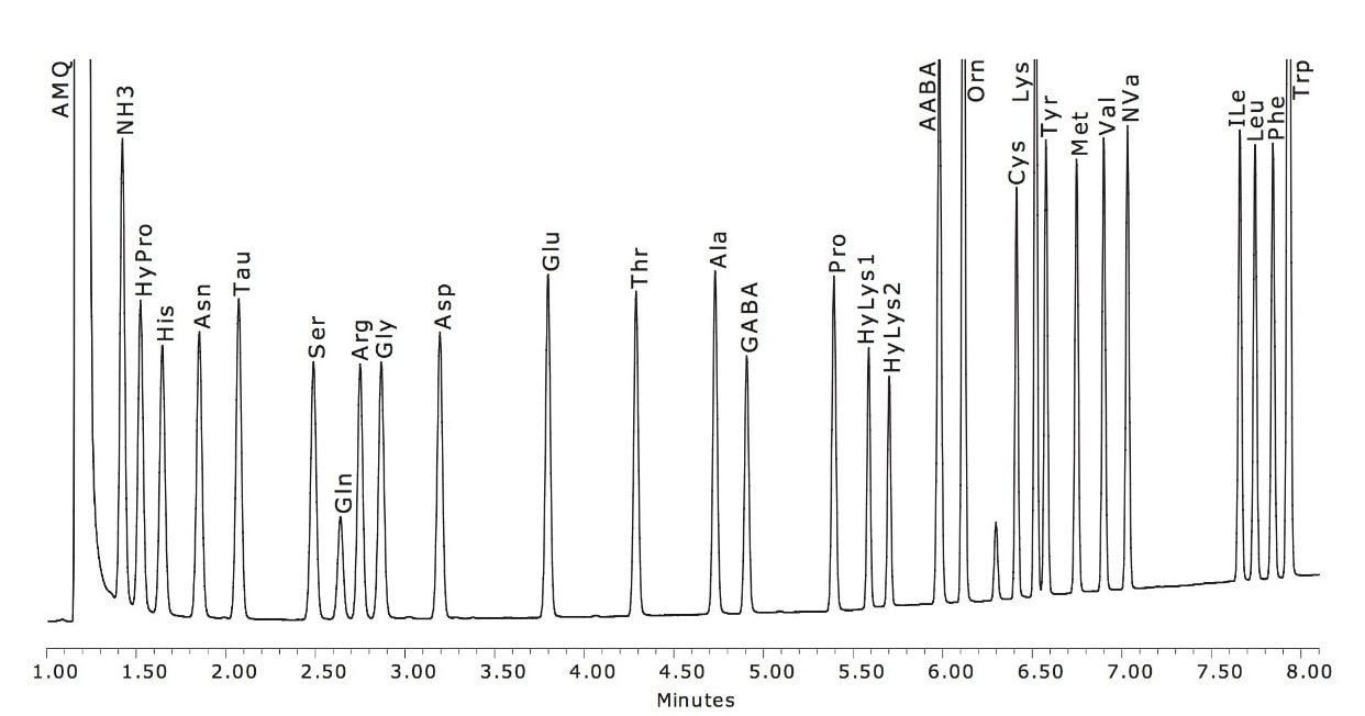  Separation of 10 pmoles of the amino acids commonly found in cell culture media.