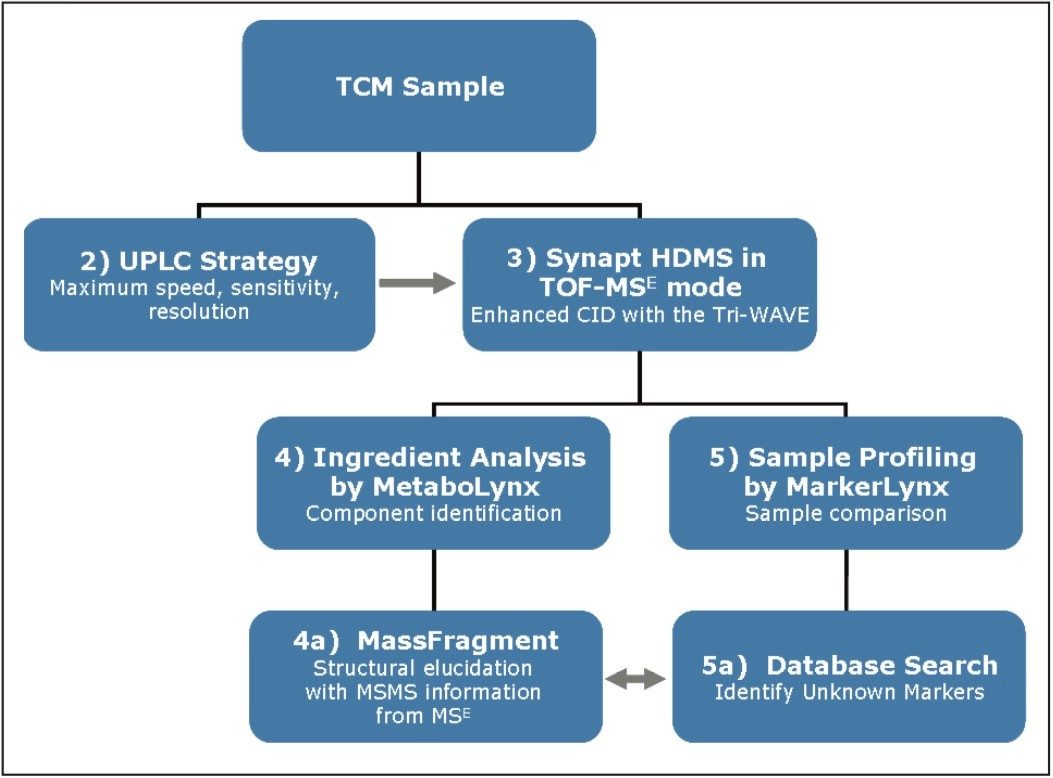 Workflow for THM analysis 