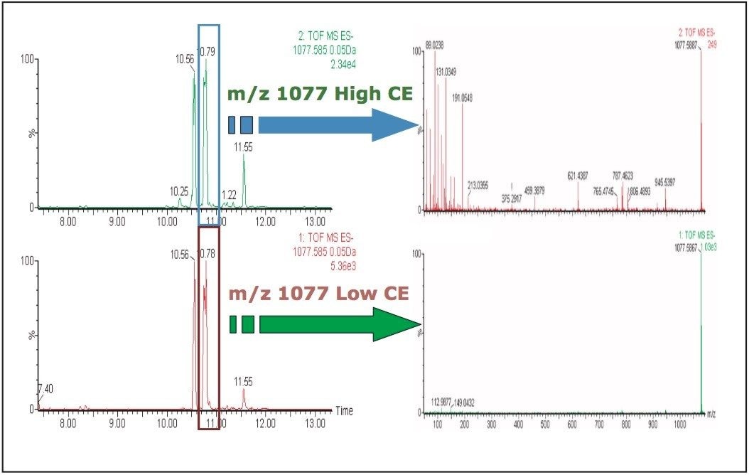 Example result from a UPLC-TOF-MSE experimen