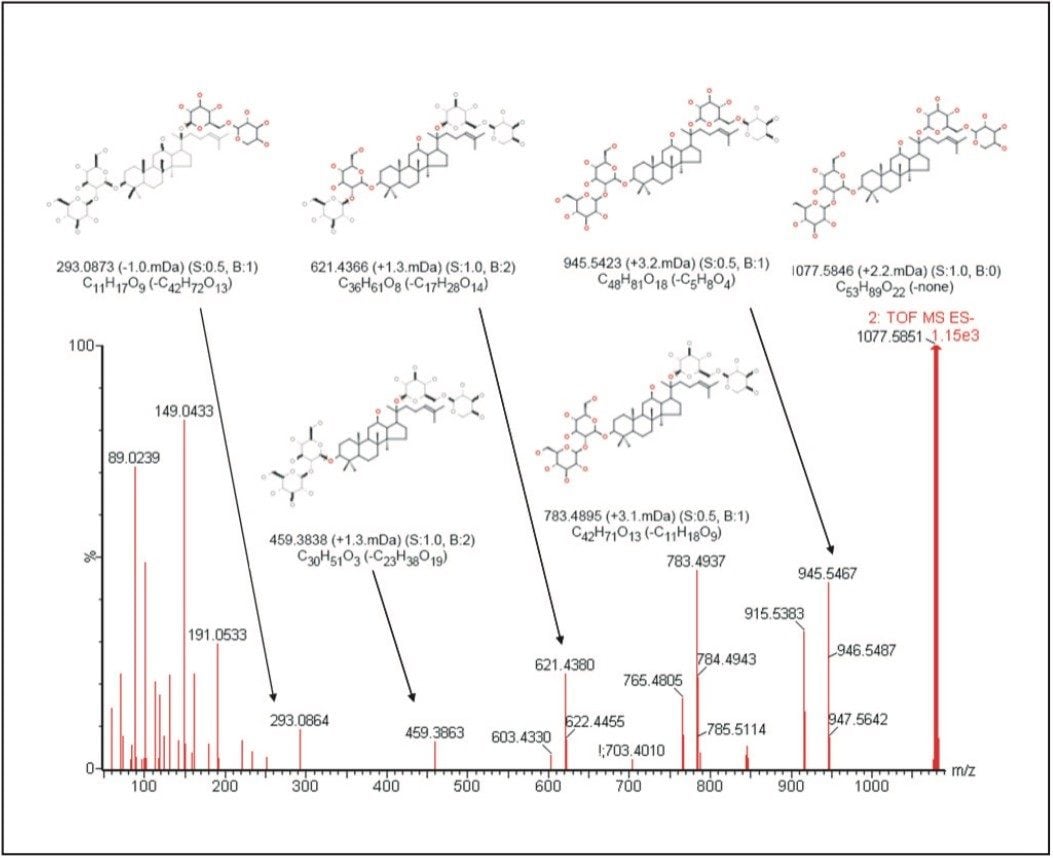 Structural elucidation for ginsenoside Rb2 using MassFragment