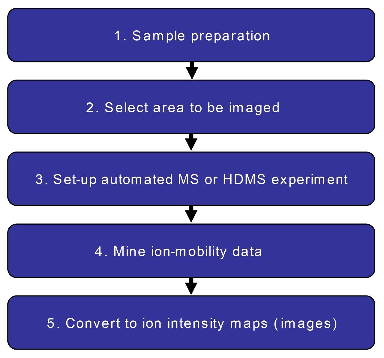 Flow diagram of the MALDI SYNAPT imaging workflow