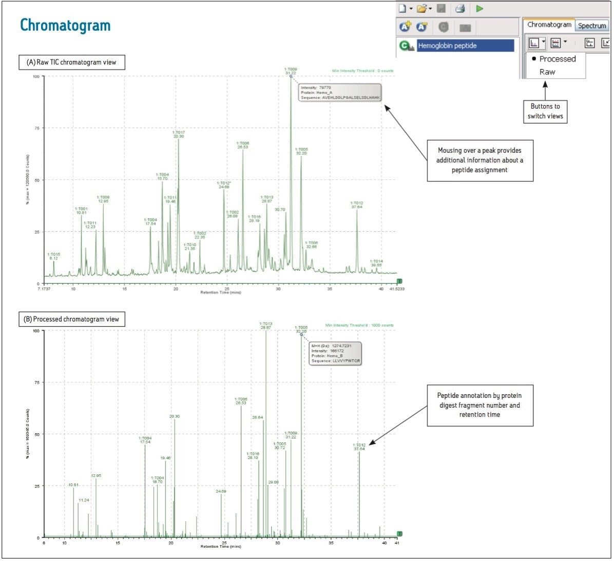  The raw and processed chromatogram views 