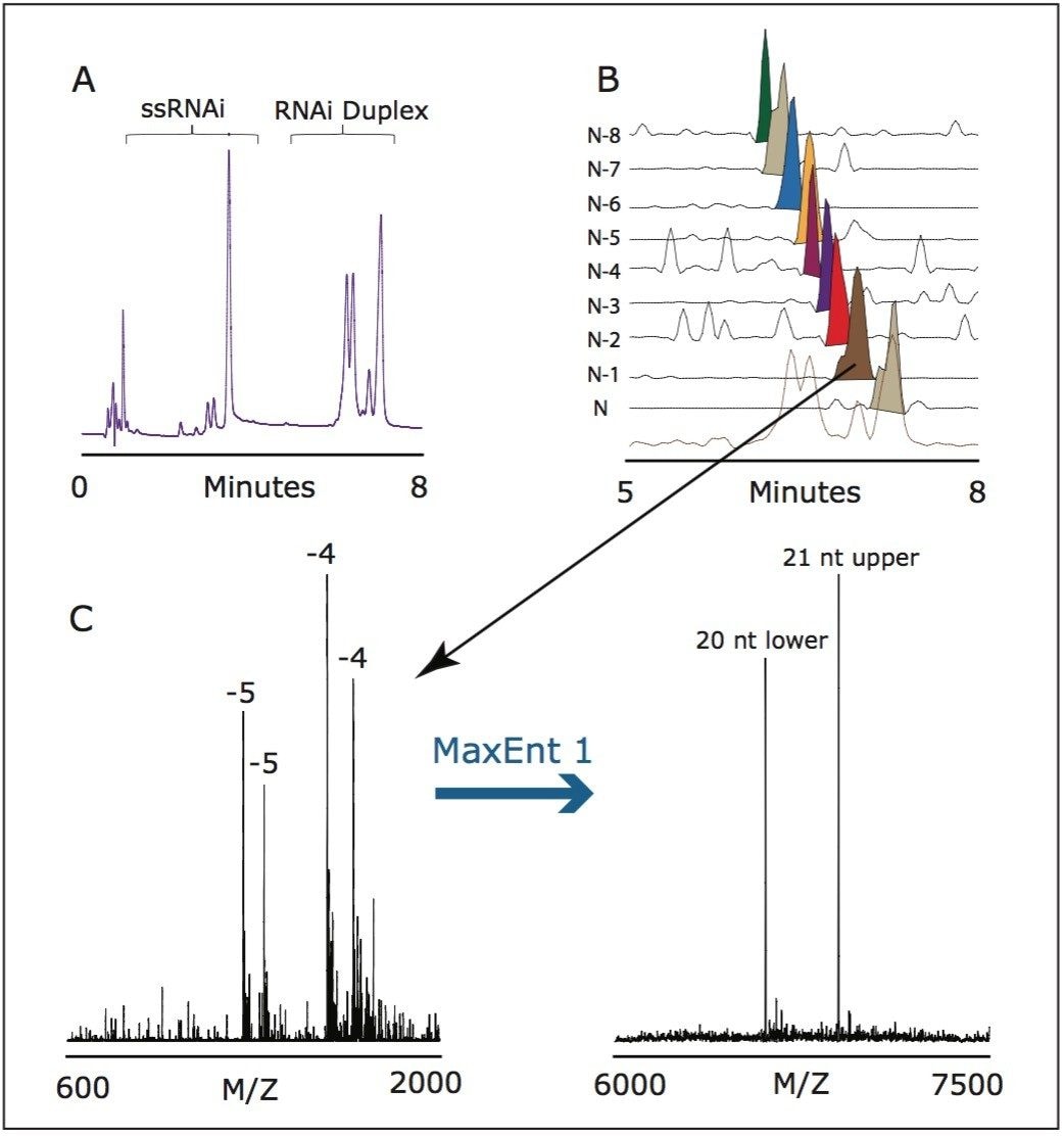 UPLC analysis of RNAi duplex mixture.