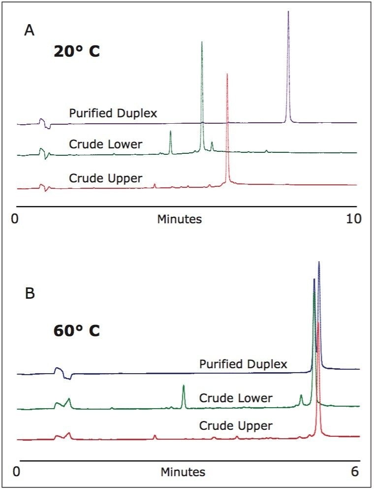 UPLC verification of RNAi duplex purity and composition.