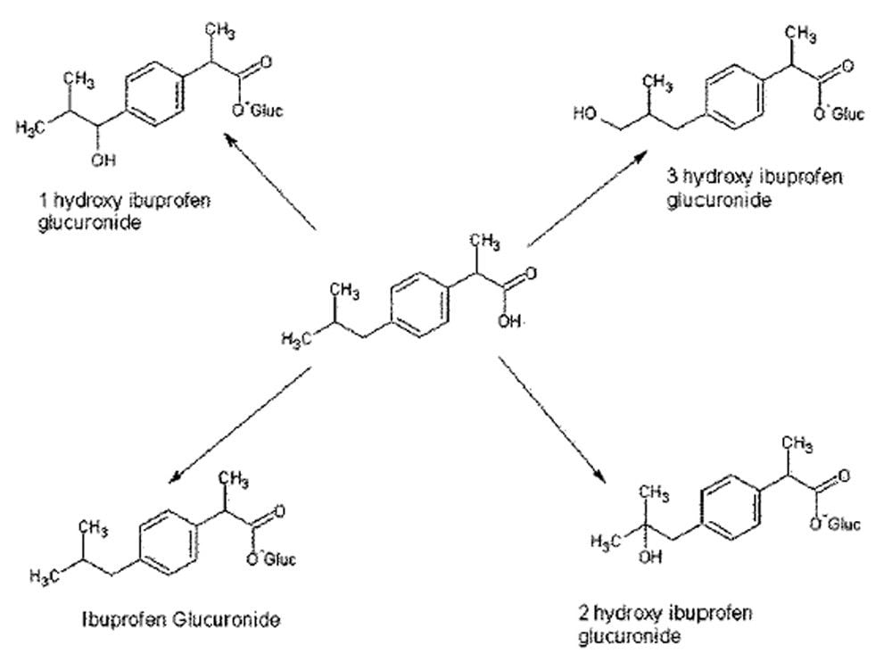 Ibuprofen and some of its associated metabolites.