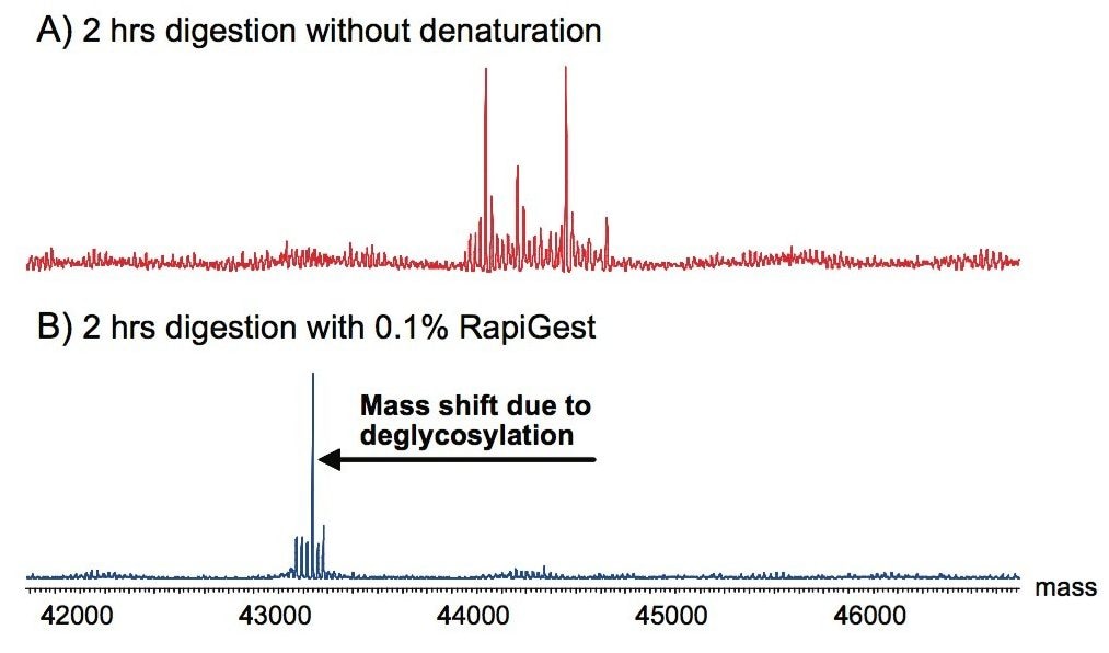 Chicken ovalbumin was deglycosylated with PNGase F without denaturation 