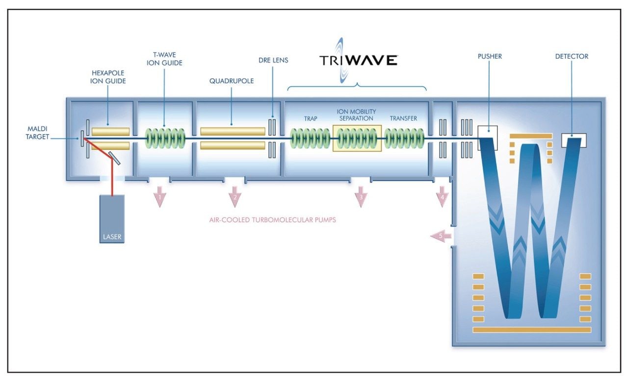 Schematic of the MALDI SYNAPT HDMS