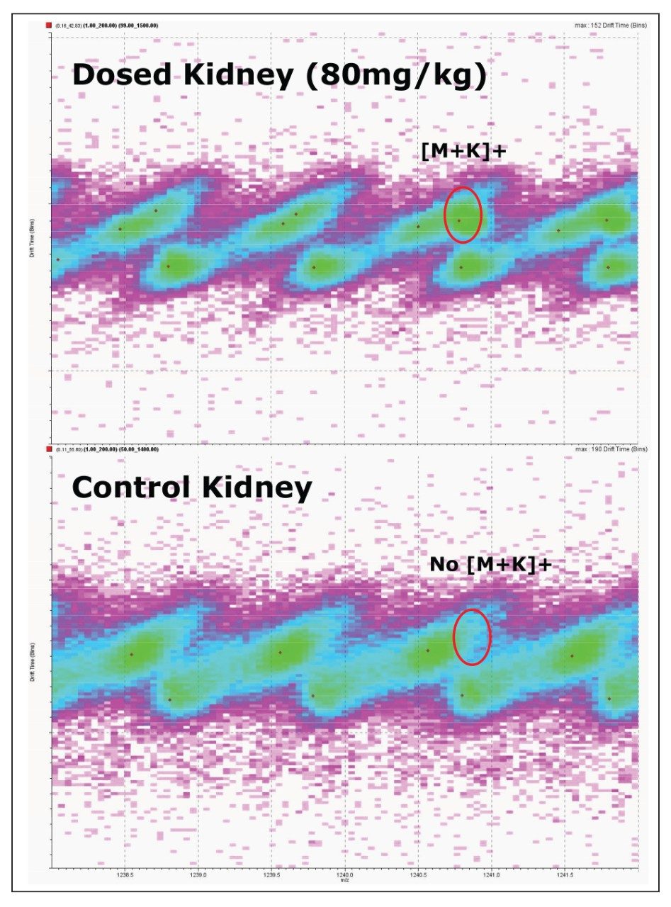 DriftScope 2D plots of the control and 80-mg/kg-dosed tissue sections