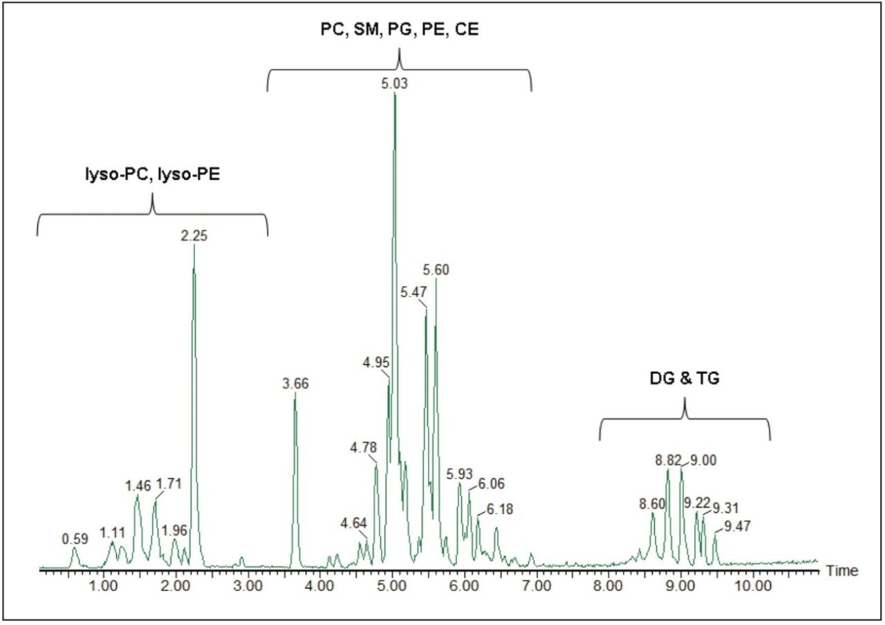 UPLC chromatogram. 