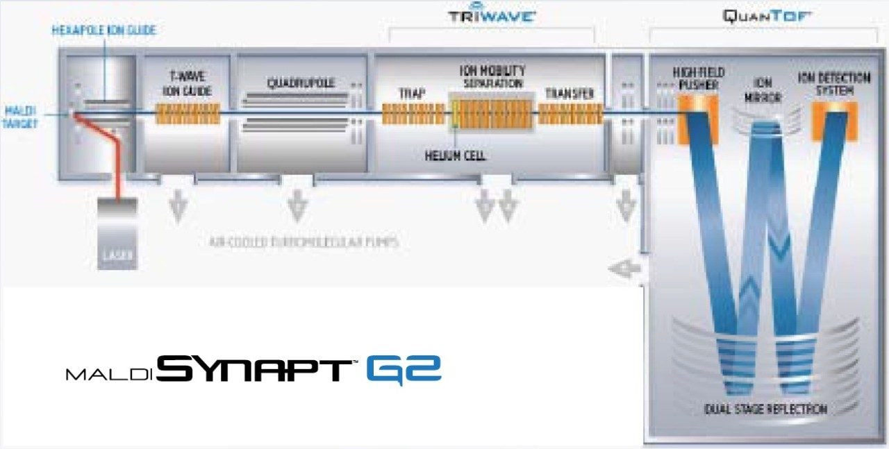  Schematic of the MALDI SYNAPT G2 System