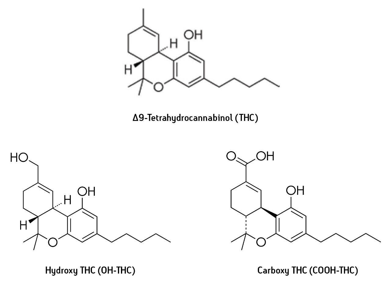  Chemical structures of THC and its principal metabolites