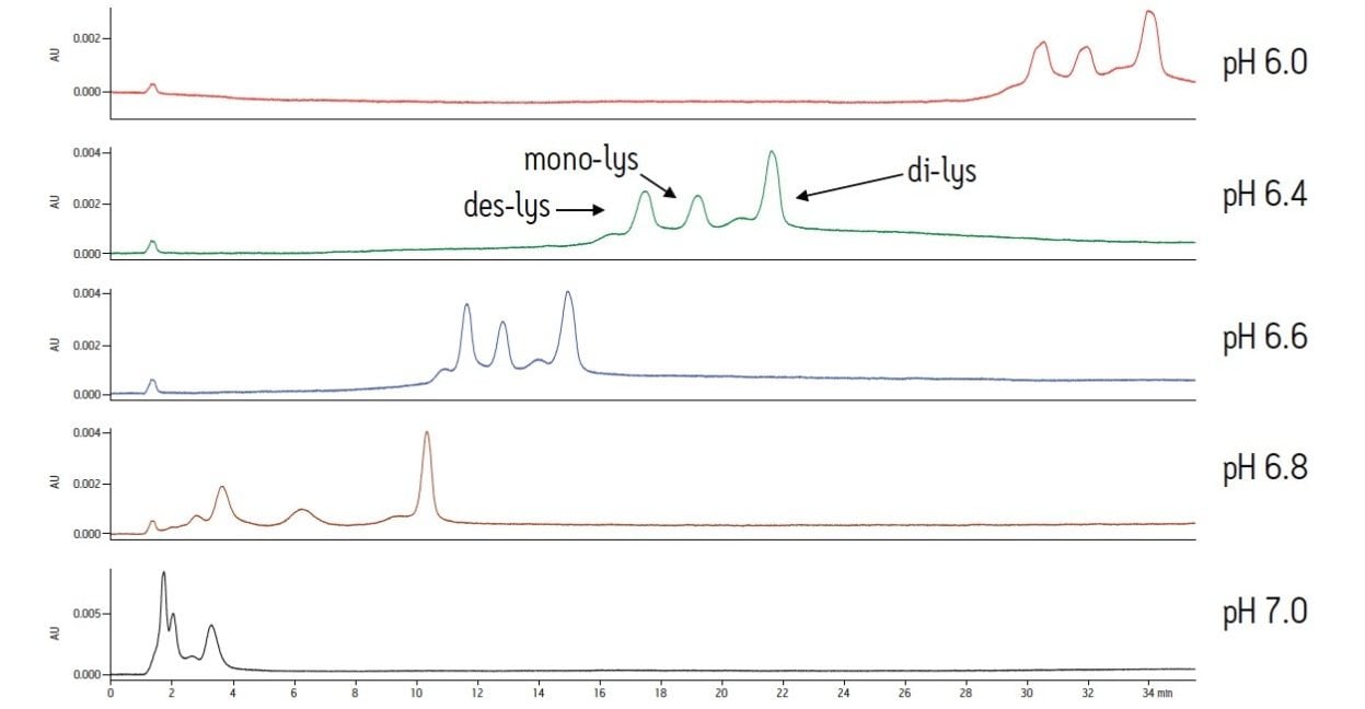 Analysis of a chimeric antibody and its truncated C-terminal lysine variants on a Protein-Pak Hi Res CM column with sodium phosphate buffer. Separations were performed over a pH range of 6.0-7.0 using Auto•Blend Plus Technology.