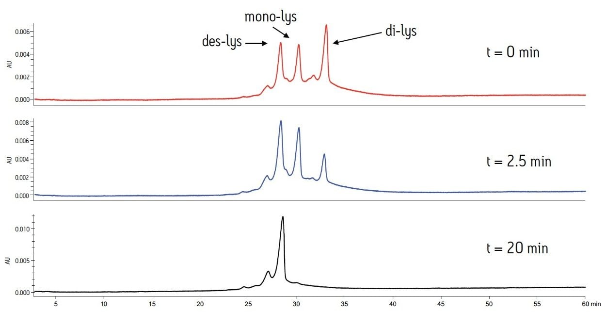 Treatment of a chimeric antibody with carboxypeptidase B over 20 minutes in MES buffer at pH 6.6. Analysis at intervals of 0, 2.5 and 20 minutes confirms the presence of truncated C-terminal lysine variants..