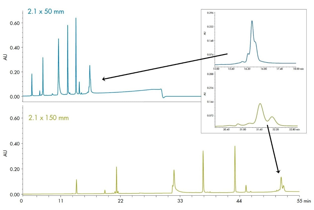 In the separation of the protein mixture at 40 °C, improvement in resolution of the additional small peaks surrounding Phosphorylase b (inset) can be readily seen on the longer column.