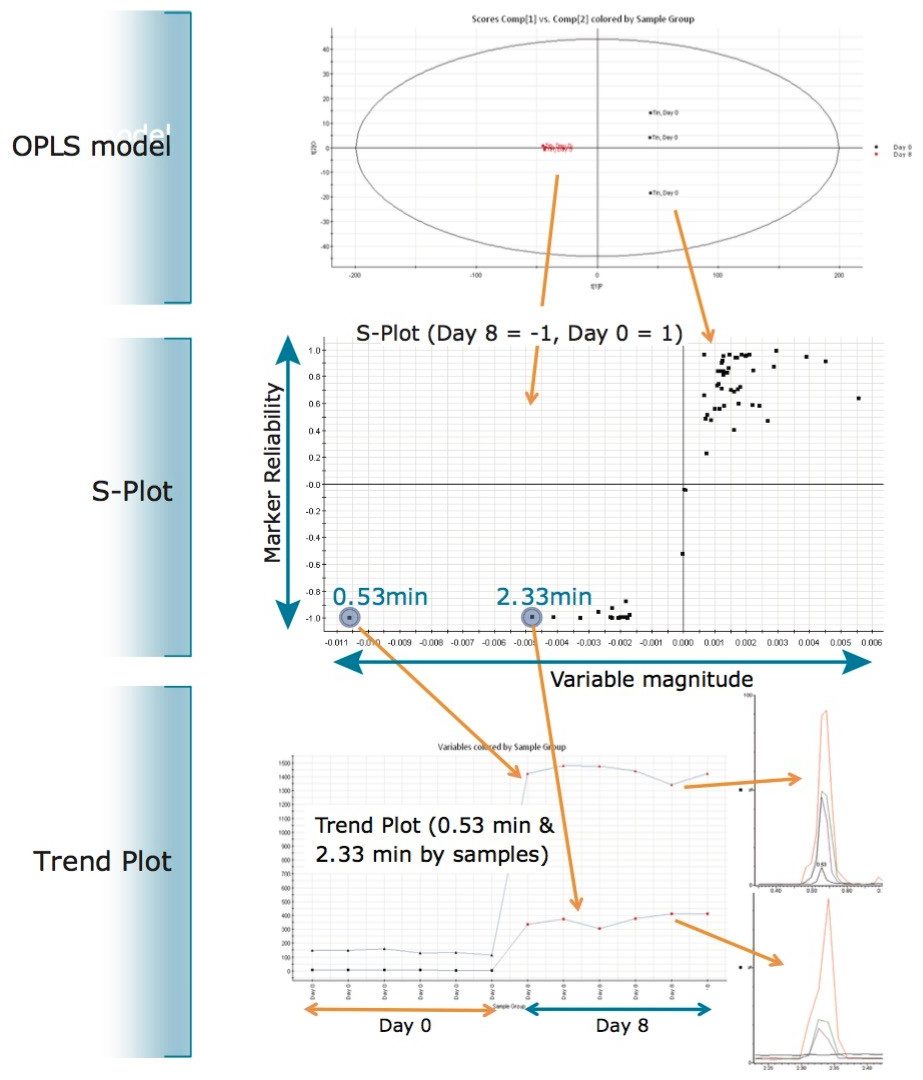 From the OPLS model, the S-Plot was derived showing the increase of components at retention time 0.53 and 2.33 min