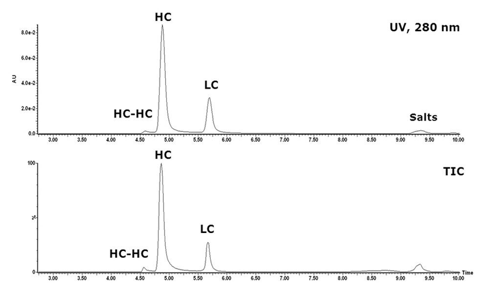 UPLC-SEC/UV/MS chromatogram of a reduced humanized mAb