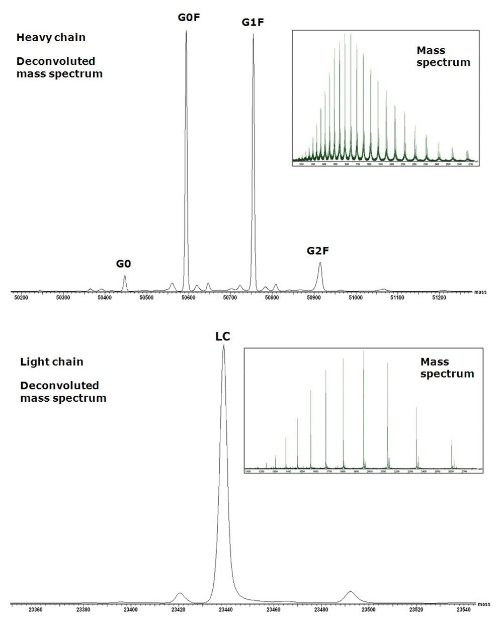 Combined mass spectrum and MaxEnt1 deconvoluted mass spectrum of the heavy chain