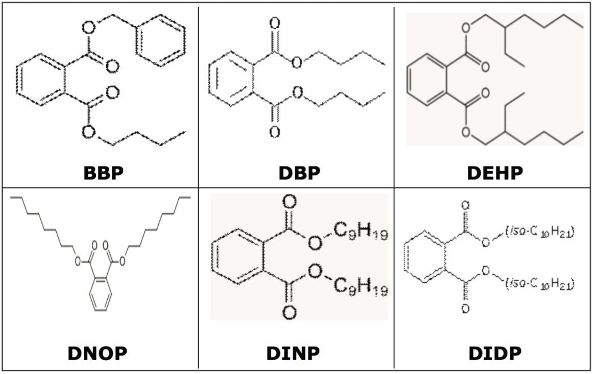 Chemical structures of the phthalates investigated