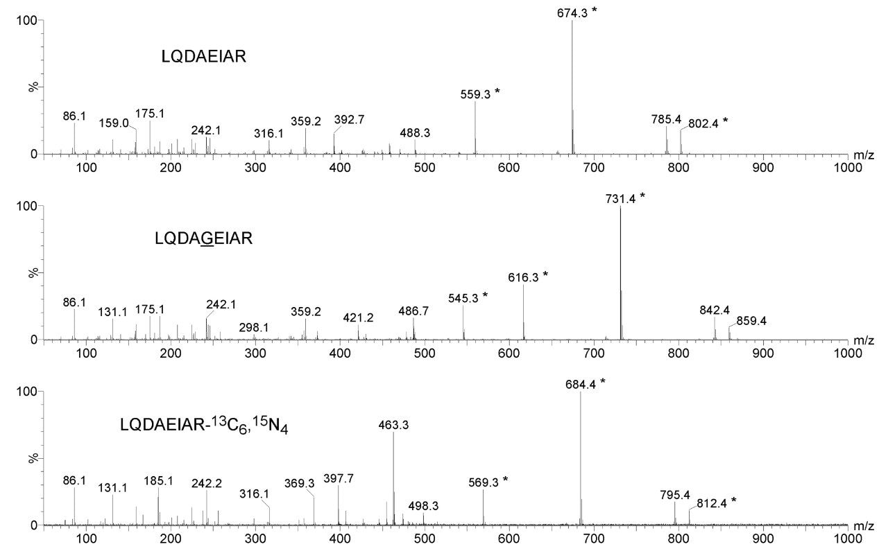 Product ion spectra of LQDAEIAR, glycine inserted chemical equivalent LQDAGEIAR and AQUA standard LQDAEIAR-13C6,15N4