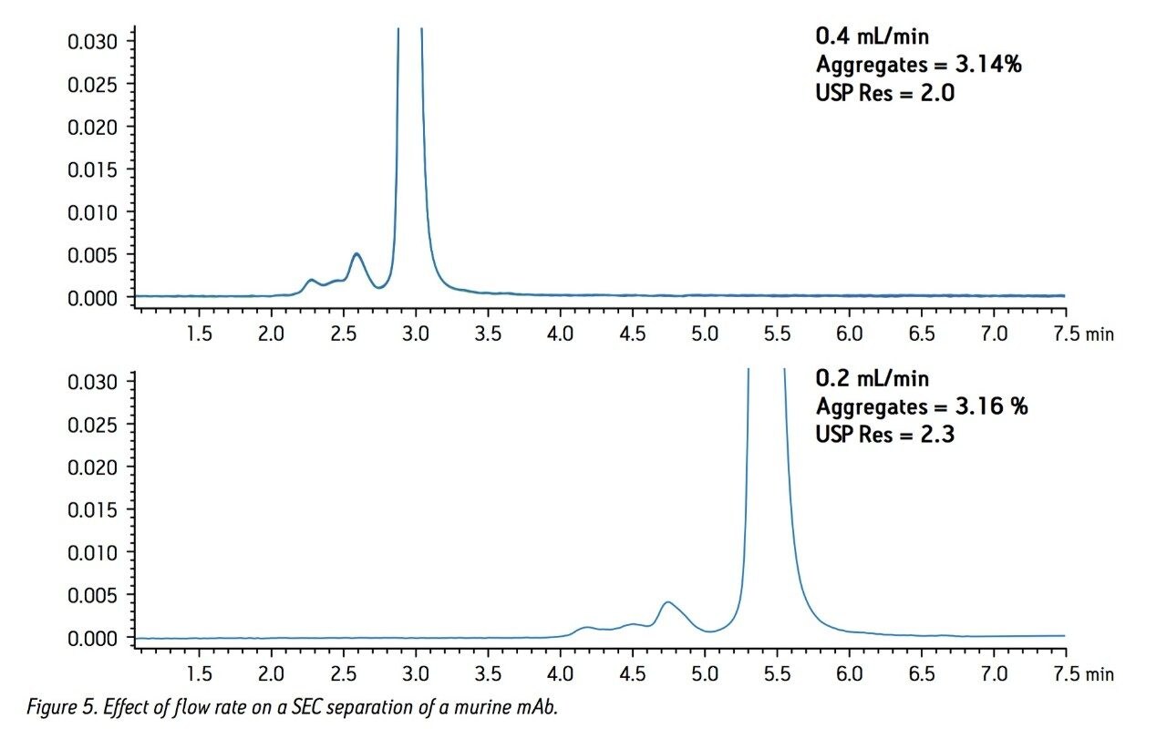 Effect of flow rate on a SEC separation of a murine mAb.