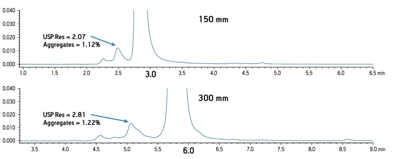 Effect of column length on a SEC separation of murine mAb.