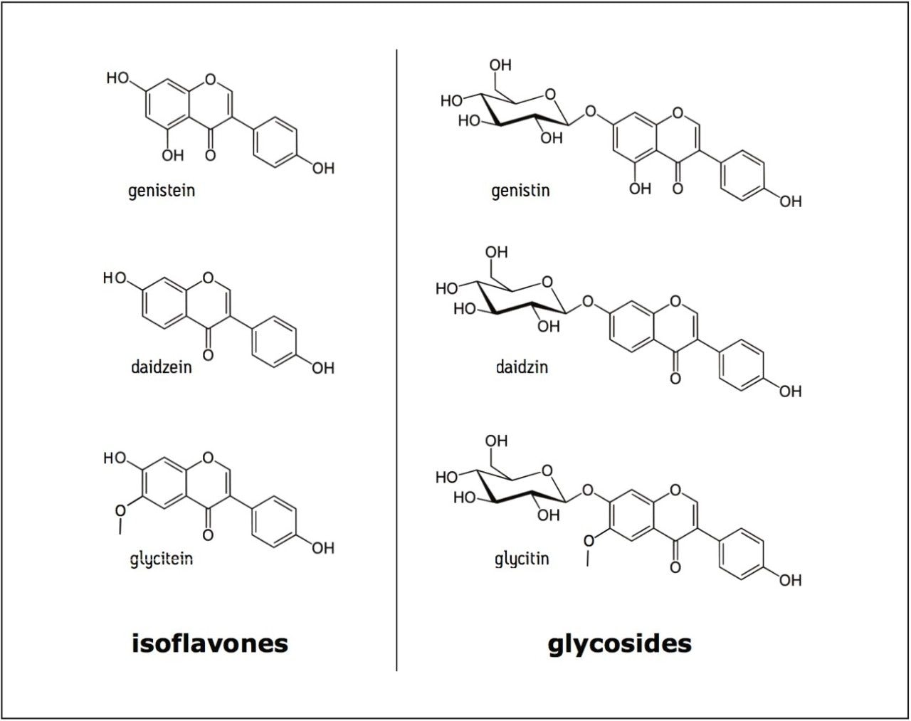  Structures of the three main soy isoflavones