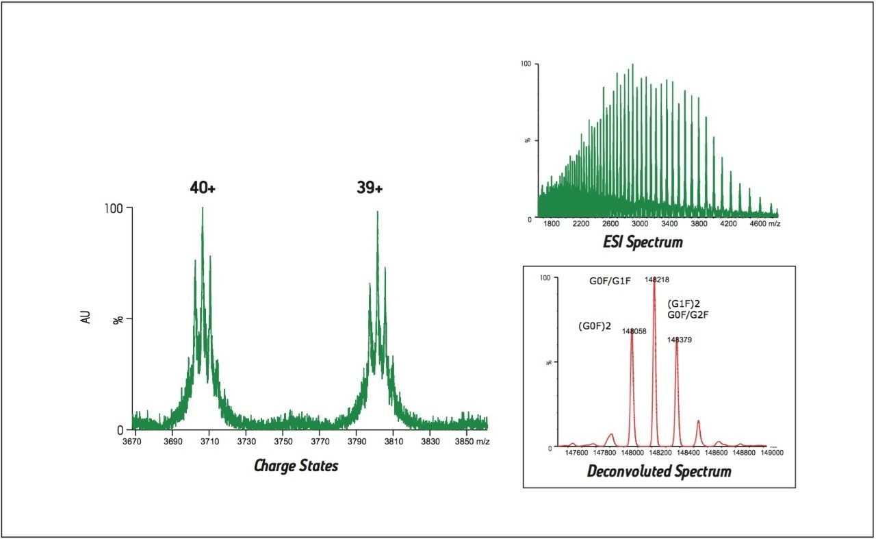 ESI mass spectrum of an intact monoclonal antibody