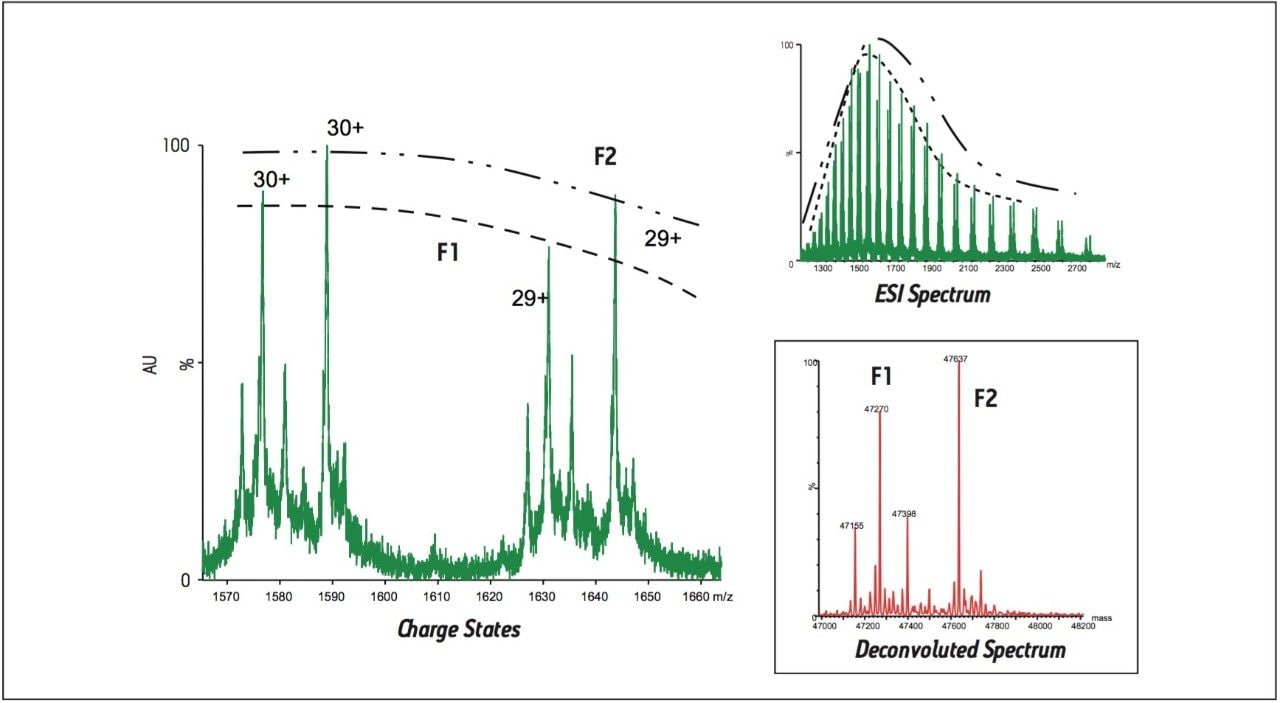 ESI mass spectrum of low molecular weight species (peak 3) in a recombinant humanized monoclonal antibody