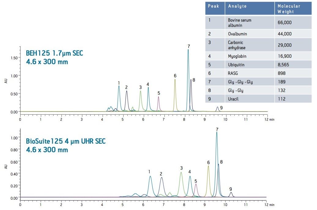 Effect of particle size on SEC separation of proteins and peptides.