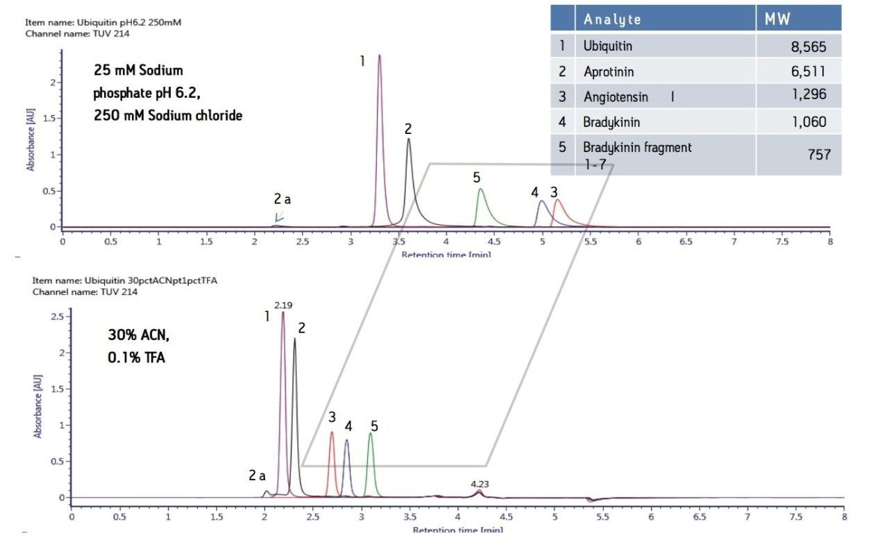 Effect of mobile phase on SEC separation of peptides.