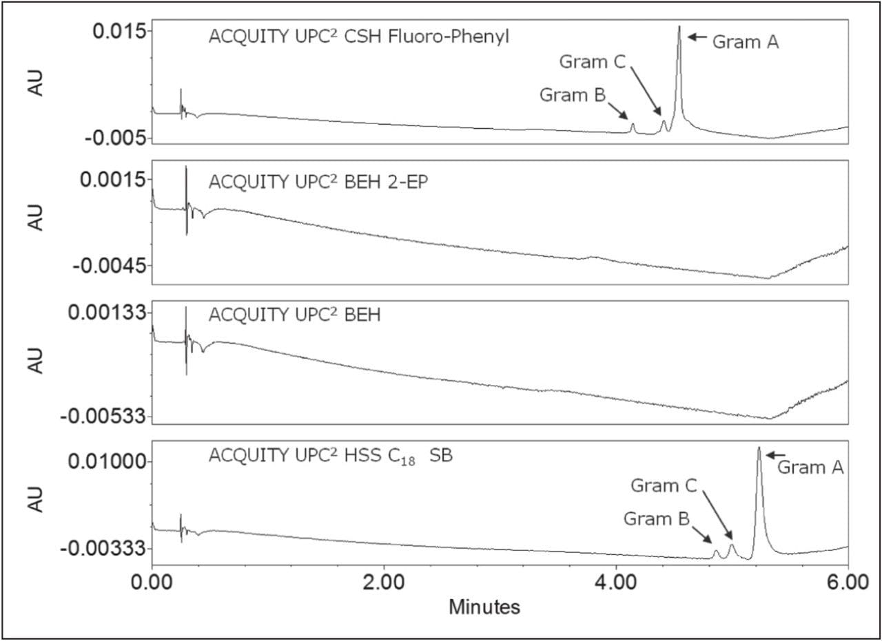 A variety of column chemistries were screened for chromatographic peak shape and retention of a gramicidin standard. 