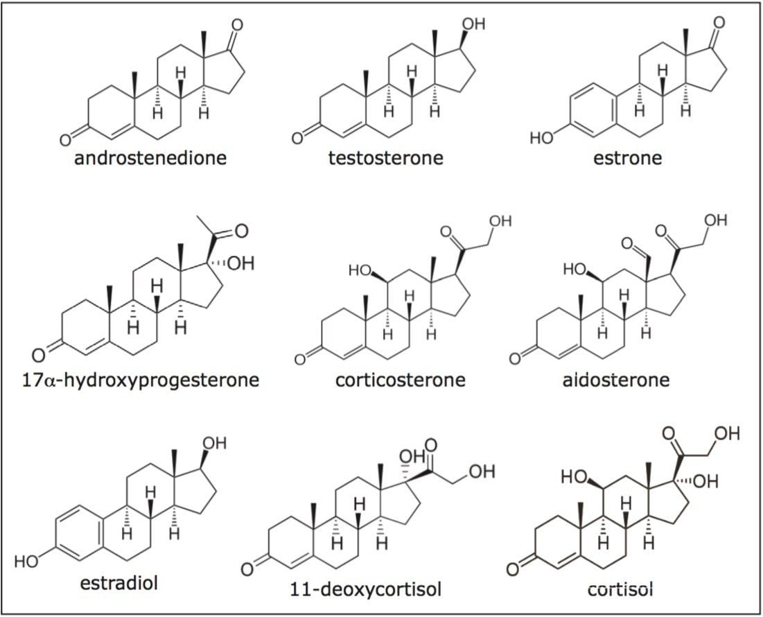 steroid-hormones-concept-stock-photo-alamy