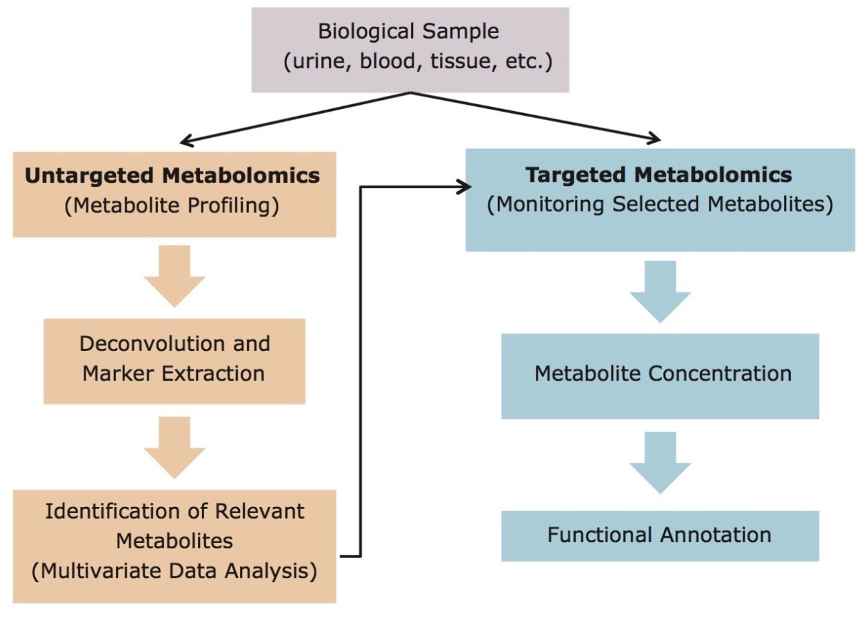 Workflows illustrating both untargeted and targeted metabolomics approaches.