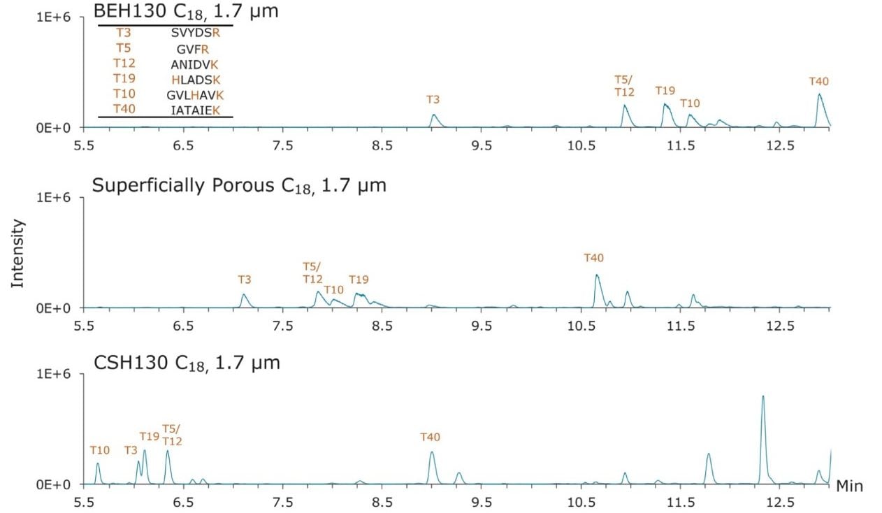 Expanded view of an early retention window from the enolase peptide maps