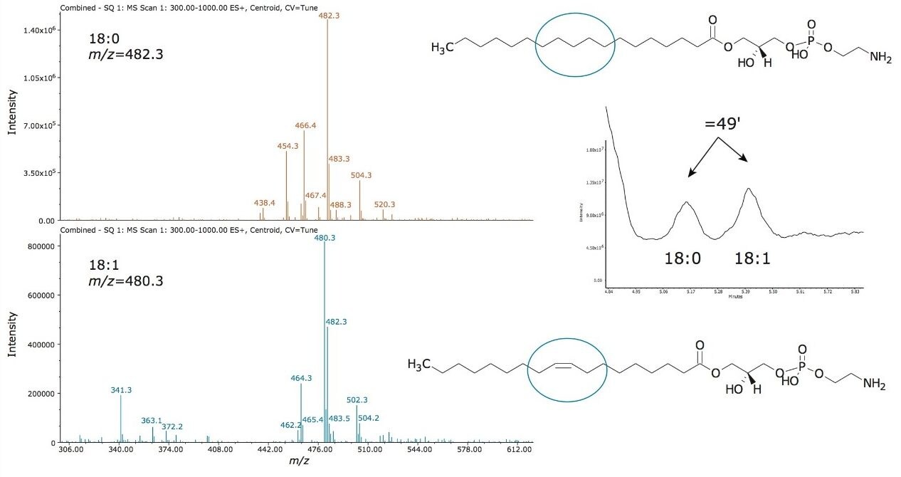 Interrogation of MS spectra for the two LPE peaks. 