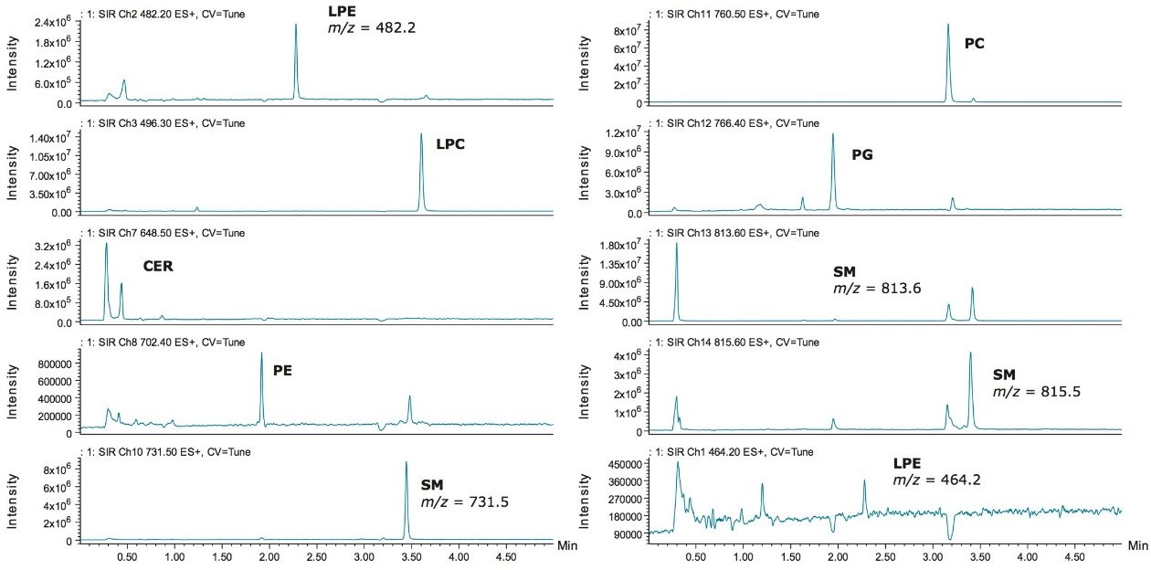 Targeted SIR analysis of a mouse heart extract.