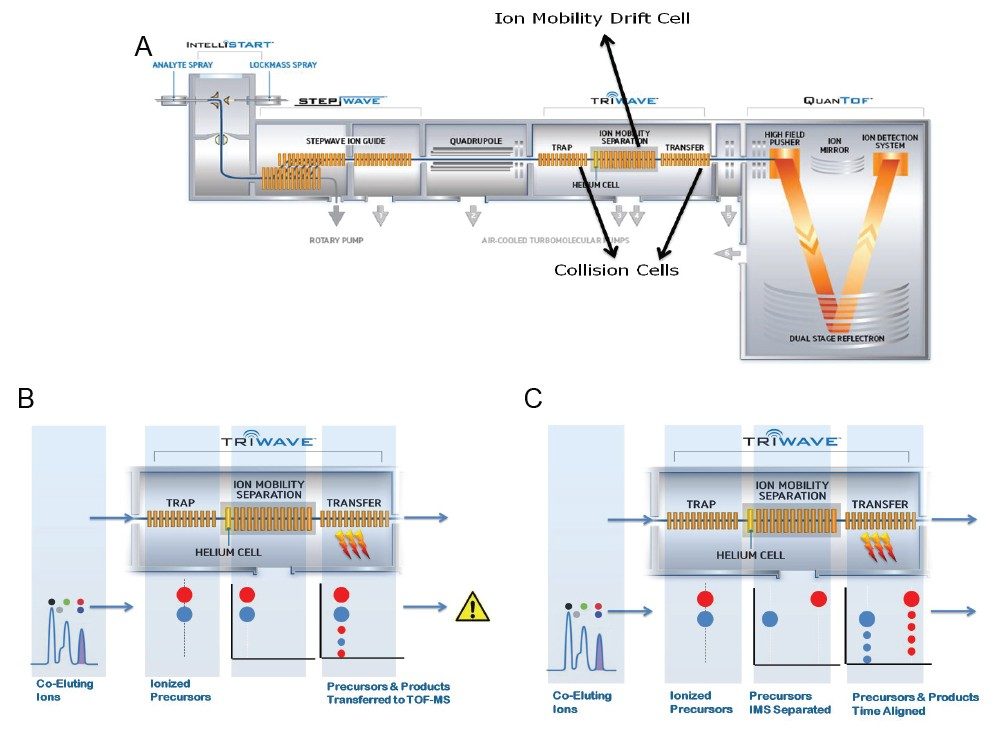  Ion mobility separation and fragmentation.