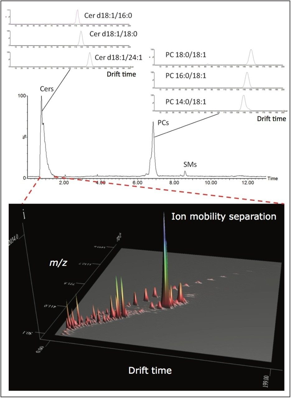  Representative analysis of lipid standards