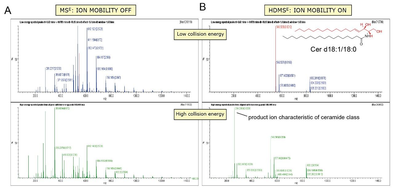 Structural characterization of lipid classes.