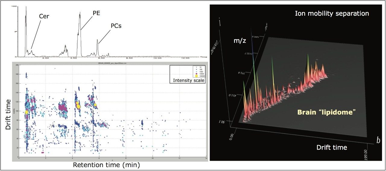 Mapping the brain lipidome using HILIC-ion mobility