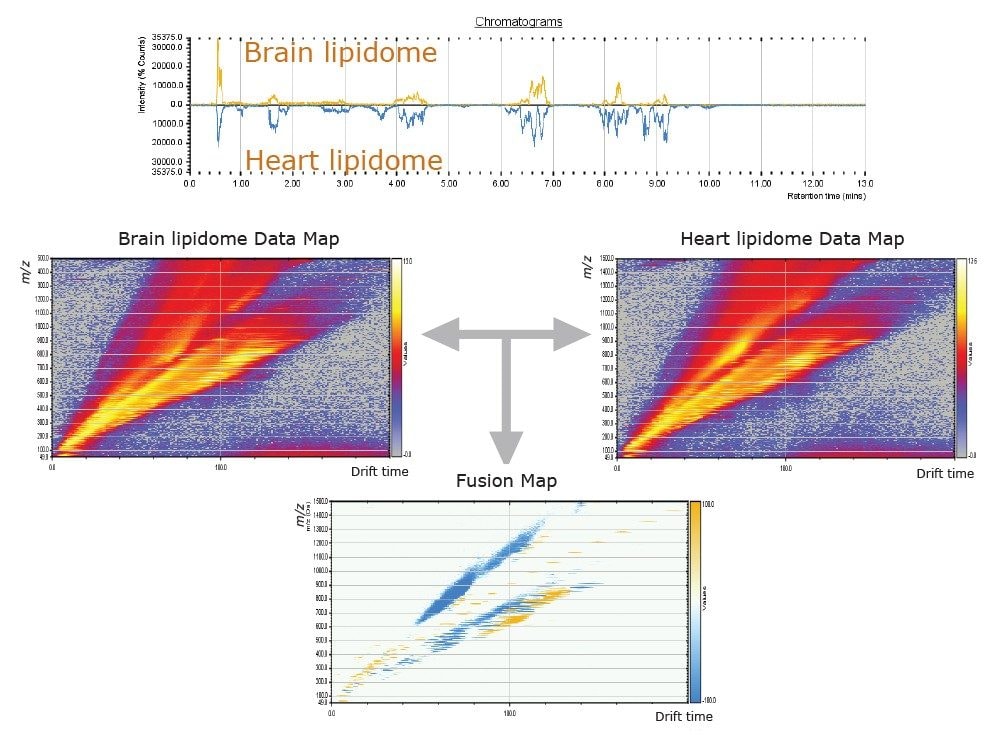 HDMS Compare Software for the comparison of lipid extracted from brain and heart tissues.